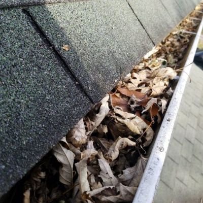 gutter cleaning service near hilo hi